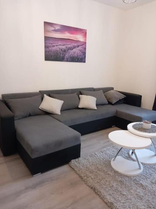 Apartment Dora-100M From The Central Beach ماكارسكا المظهر الخارجي الصورة