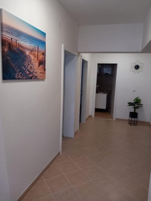 Apartment Dora-100M From The Central Beach ماكارسكا المظهر الخارجي الصورة